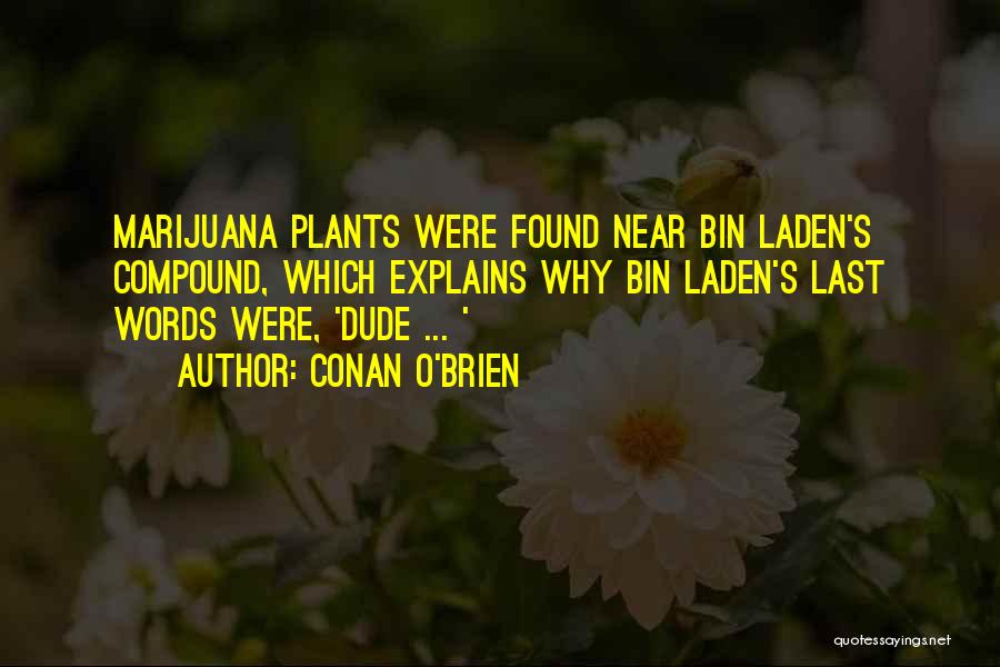 Conan O'Brien Quotes: Marijuana Plants Were Found Near Bin Laden's Compound, Which Explains Why Bin Laden's Last Words Were, 'dude ... '