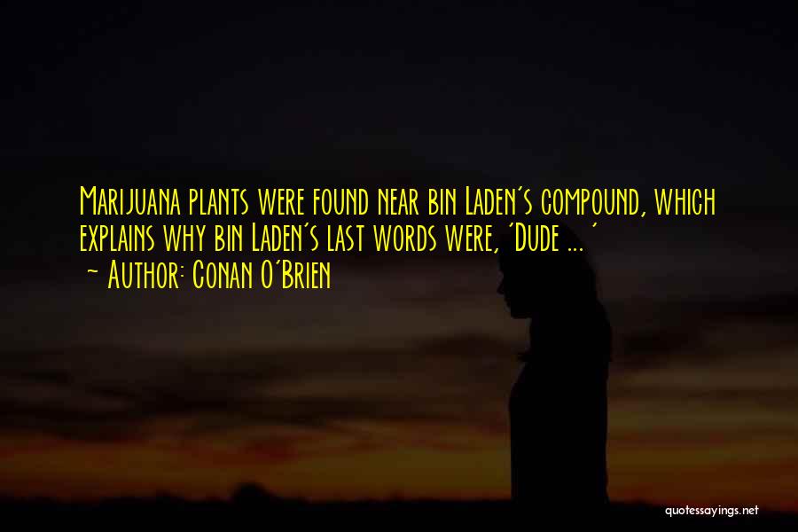 Conan O'Brien Quotes: Marijuana Plants Were Found Near Bin Laden's Compound, Which Explains Why Bin Laden's Last Words Were, 'dude ... '