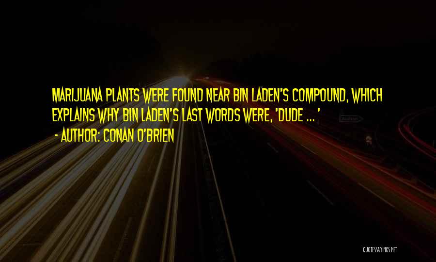 Conan O'Brien Quotes: Marijuana Plants Were Found Near Bin Laden's Compound, Which Explains Why Bin Laden's Last Words Were, 'dude ... '