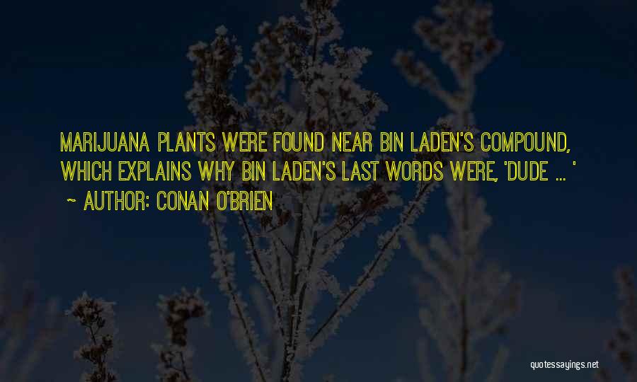 Conan O'Brien Quotes: Marijuana Plants Were Found Near Bin Laden's Compound, Which Explains Why Bin Laden's Last Words Were, 'dude ... '