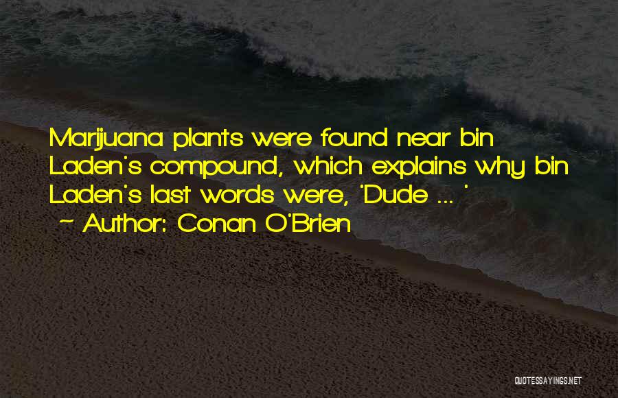 Conan O'Brien Quotes: Marijuana Plants Were Found Near Bin Laden's Compound, Which Explains Why Bin Laden's Last Words Were, 'dude ... '