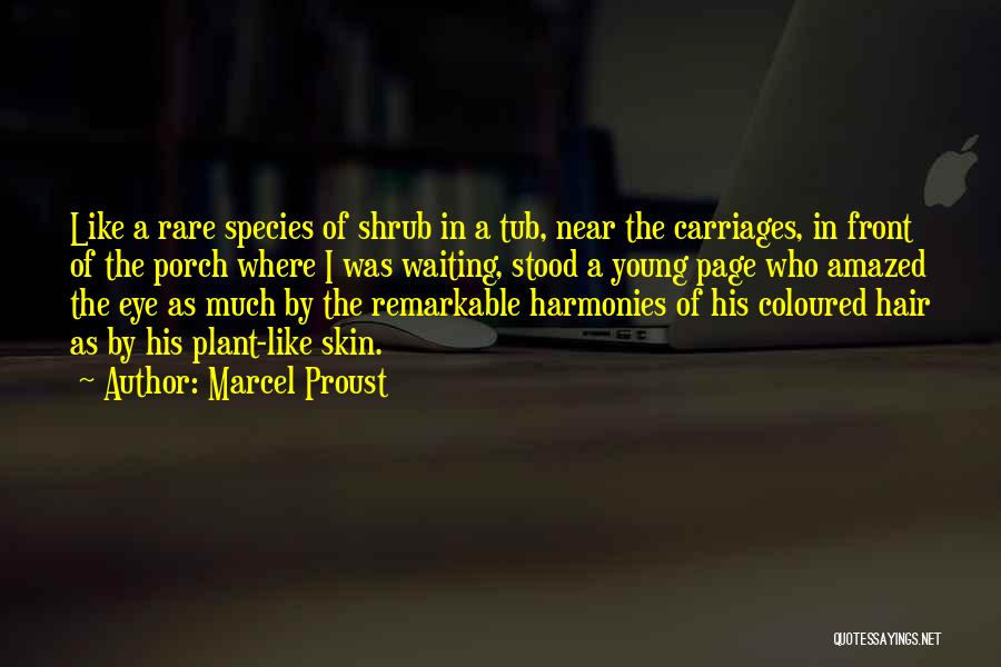 Marcel Proust Quotes: Like A Rare Species Of Shrub In A Tub, Near The Carriages, In Front Of The Porch Where I Was