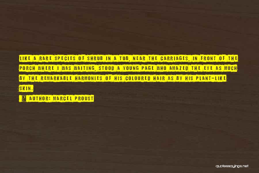 Marcel Proust Quotes: Like A Rare Species Of Shrub In A Tub, Near The Carriages, In Front Of The Porch Where I Was