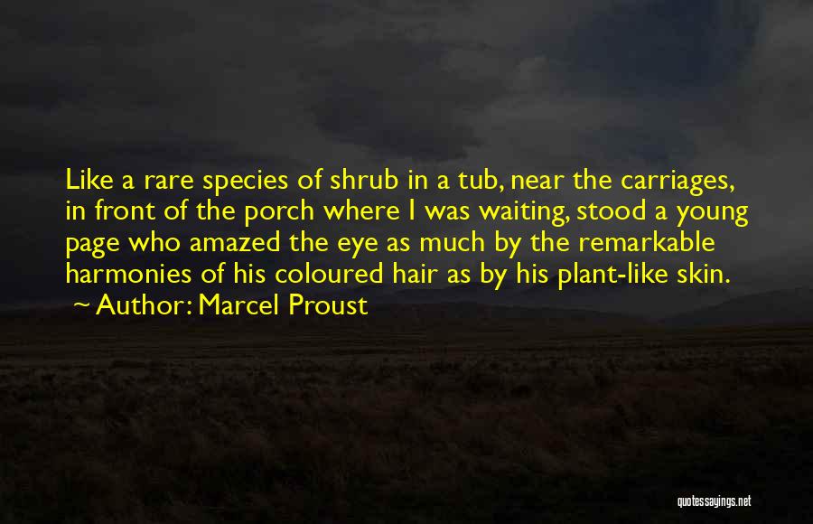 Marcel Proust Quotes: Like A Rare Species Of Shrub In A Tub, Near The Carriages, In Front Of The Porch Where I Was