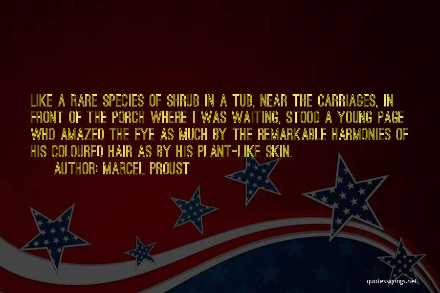 Marcel Proust Quotes: Like A Rare Species Of Shrub In A Tub, Near The Carriages, In Front Of The Porch Where I Was