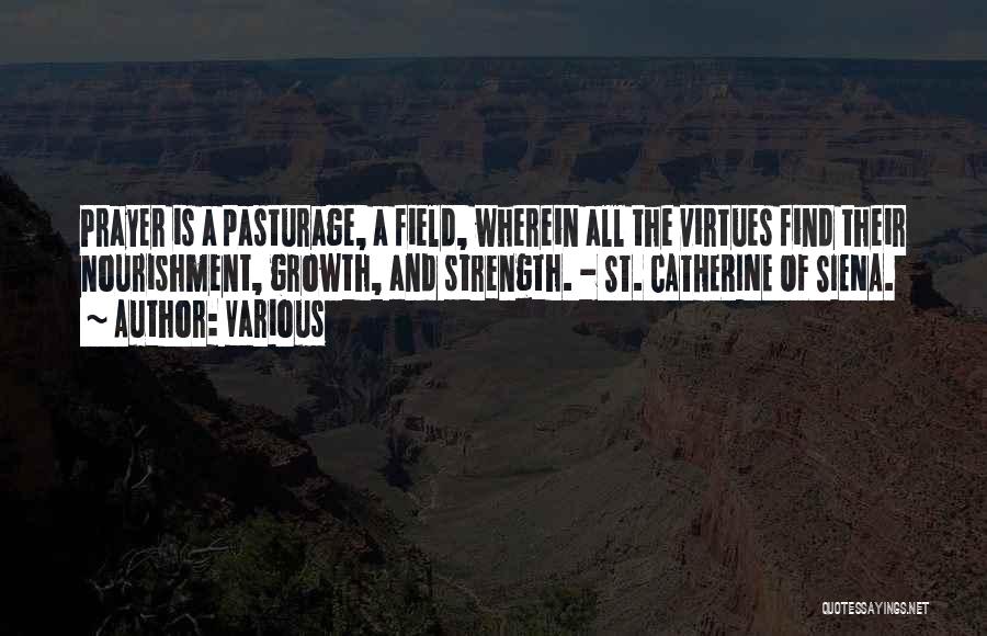 Various Quotes: Prayer Is A Pasturage, A Field, Wherein All The Virtues Find Their Nourishment, Growth, And Strength. - St. Catherine Of
