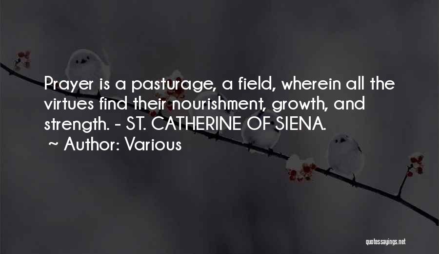 Various Quotes: Prayer Is A Pasturage, A Field, Wherein All The Virtues Find Their Nourishment, Growth, And Strength. - St. Catherine Of