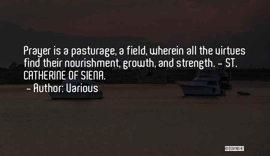 Various Quotes: Prayer Is A Pasturage, A Field, Wherein All The Virtues Find Their Nourishment, Growth, And Strength. - St. Catherine Of