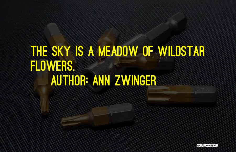 Ann Zwinger Quotes: The Sky Is A Meadow Of Wildstar Flowers.