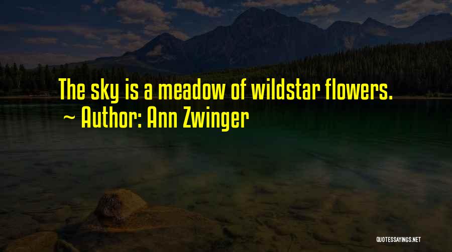 Ann Zwinger Quotes: The Sky Is A Meadow Of Wildstar Flowers.