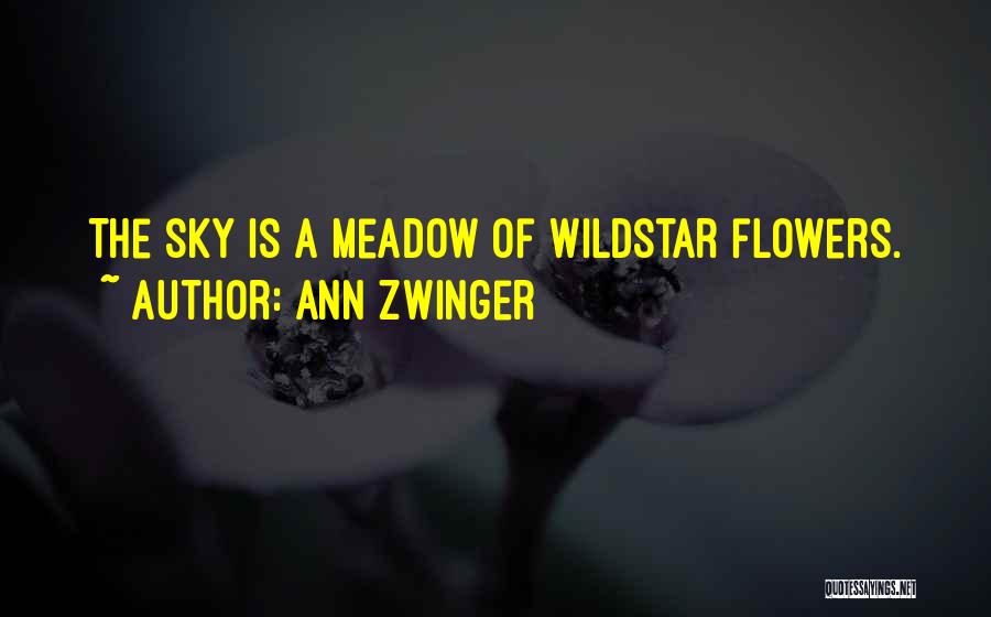 Ann Zwinger Quotes: The Sky Is A Meadow Of Wildstar Flowers.