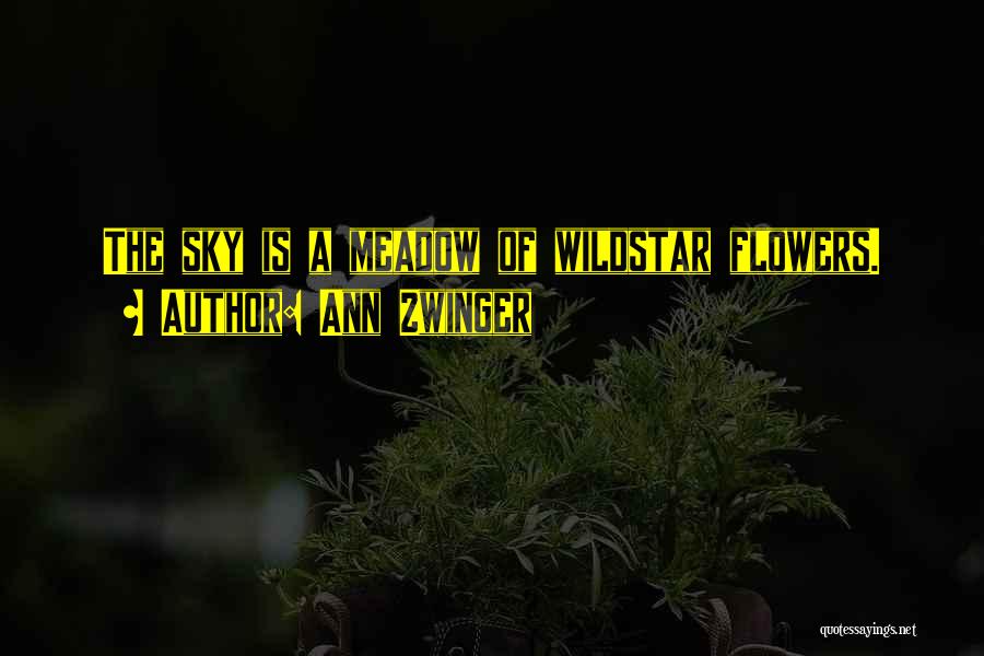Ann Zwinger Quotes: The Sky Is A Meadow Of Wildstar Flowers.
