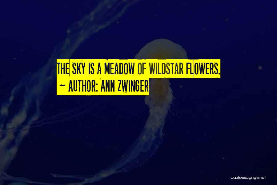Ann Zwinger Quotes: The Sky Is A Meadow Of Wildstar Flowers.