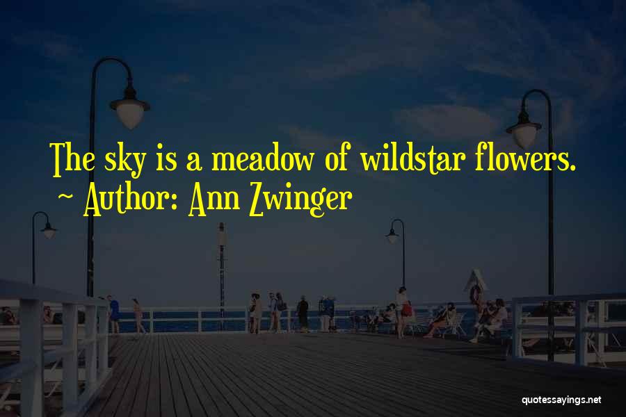 Ann Zwinger Quotes: The Sky Is A Meadow Of Wildstar Flowers.