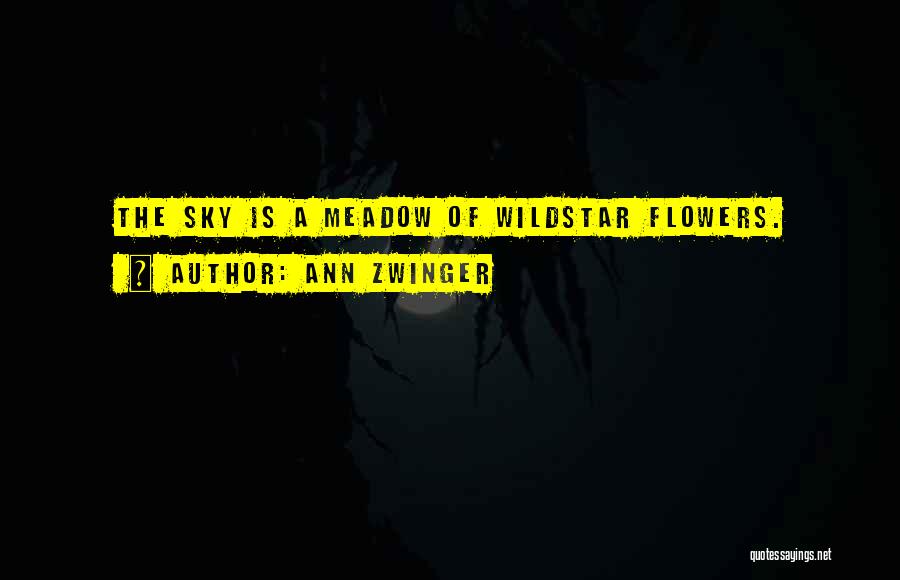 Ann Zwinger Quotes: The Sky Is A Meadow Of Wildstar Flowers.