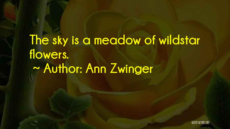 Ann Zwinger Quotes: The Sky Is A Meadow Of Wildstar Flowers.