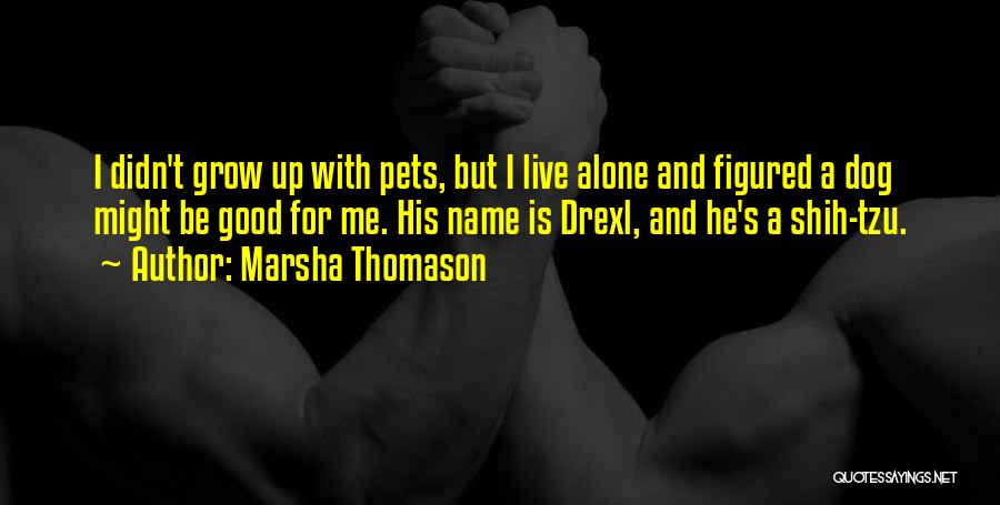 Marsha Thomason Quotes: I Didn't Grow Up With Pets, But I Live Alone And Figured A Dog Might Be Good For Me. His