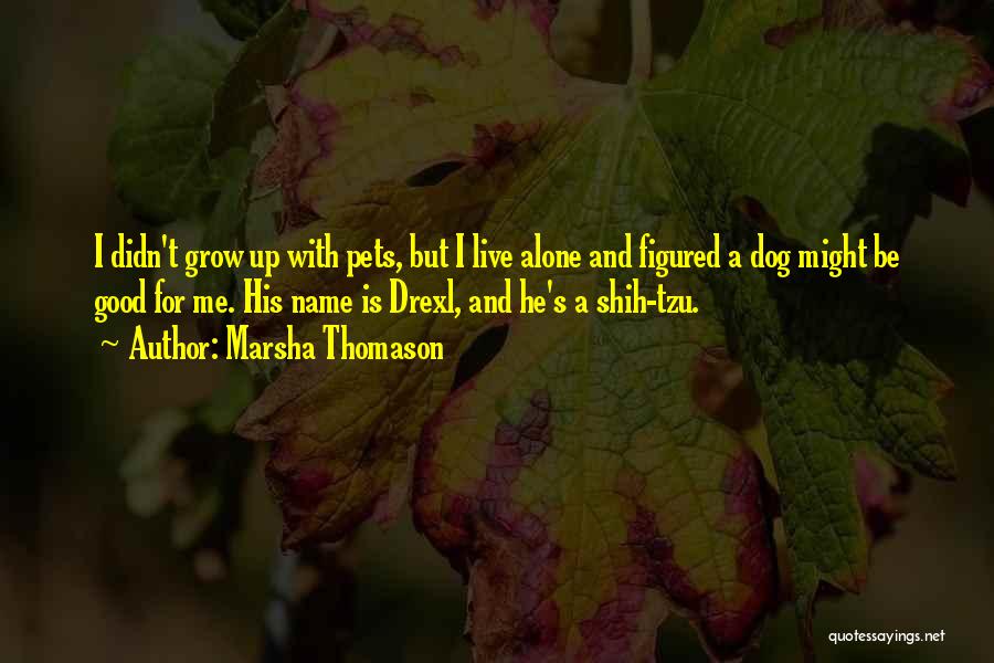 Marsha Thomason Quotes: I Didn't Grow Up With Pets, But I Live Alone And Figured A Dog Might Be Good For Me. His