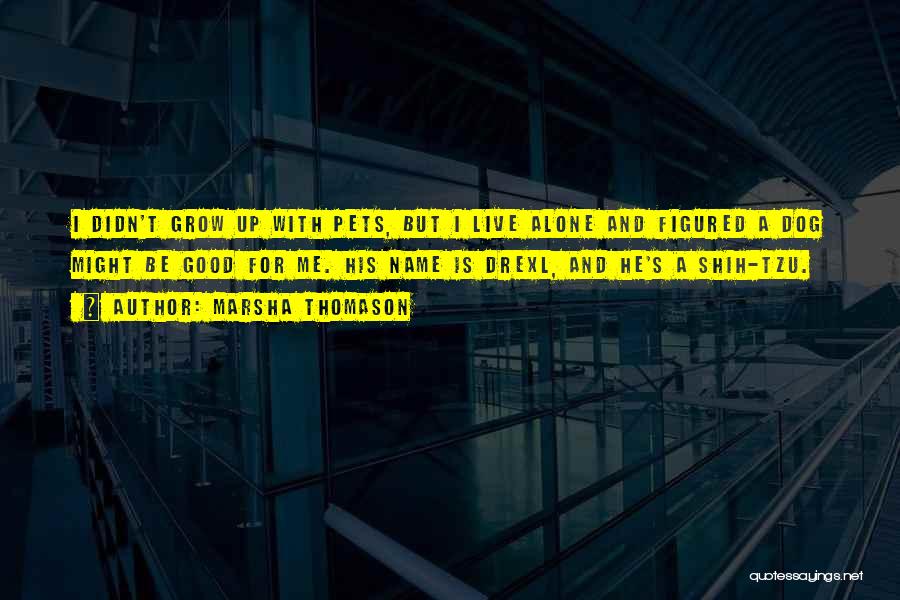 Marsha Thomason Quotes: I Didn't Grow Up With Pets, But I Live Alone And Figured A Dog Might Be Good For Me. His