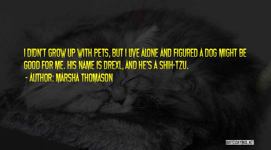 Marsha Thomason Quotes: I Didn't Grow Up With Pets, But I Live Alone And Figured A Dog Might Be Good For Me. His