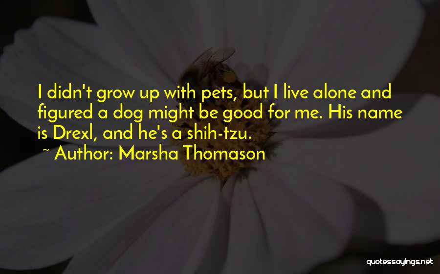 Marsha Thomason Quotes: I Didn't Grow Up With Pets, But I Live Alone And Figured A Dog Might Be Good For Me. His