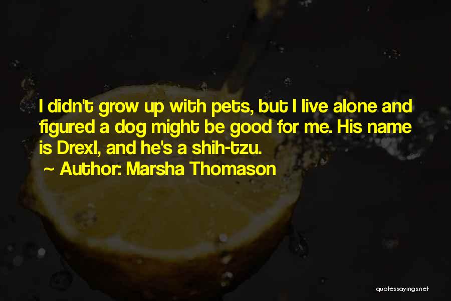 Marsha Thomason Quotes: I Didn't Grow Up With Pets, But I Live Alone And Figured A Dog Might Be Good For Me. His