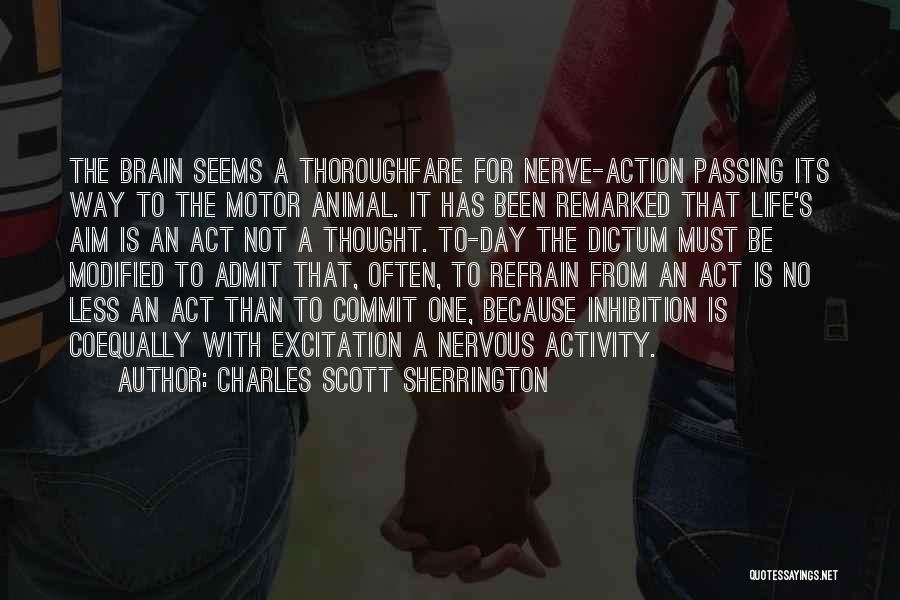 Charles Scott Sherrington Quotes: The Brain Seems A Thoroughfare For Nerve-action Passing Its Way To The Motor Animal. It Has Been Remarked That Life's