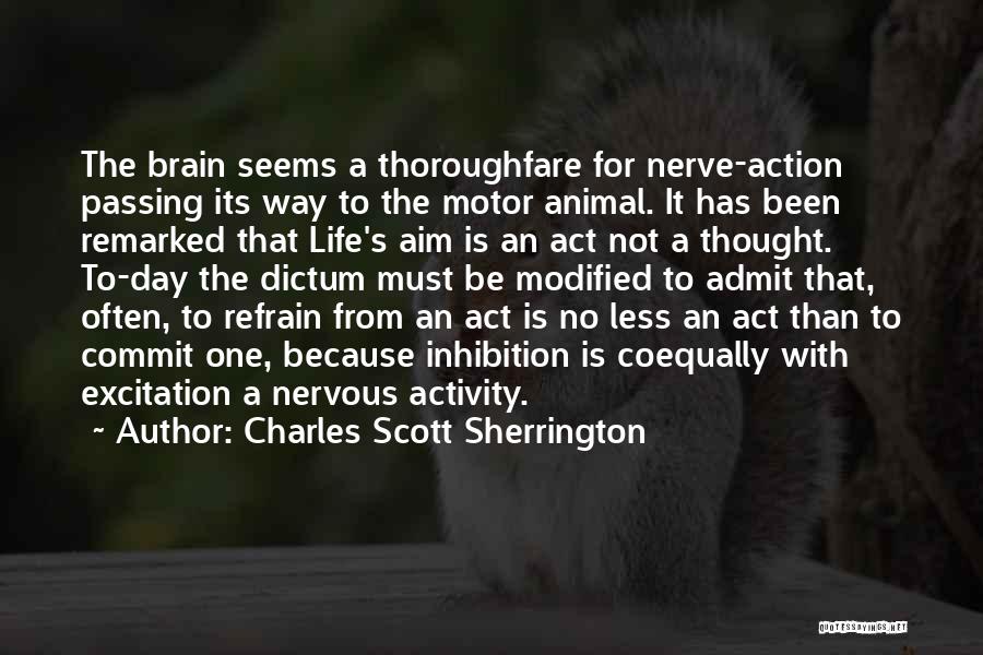 Charles Scott Sherrington Quotes: The Brain Seems A Thoroughfare For Nerve-action Passing Its Way To The Motor Animal. It Has Been Remarked That Life's