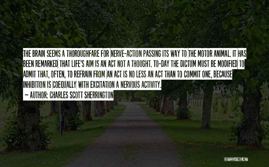 Charles Scott Sherrington Quotes: The Brain Seems A Thoroughfare For Nerve-action Passing Its Way To The Motor Animal. It Has Been Remarked That Life's