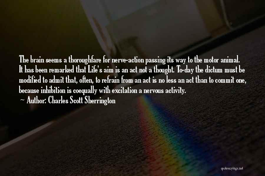 Charles Scott Sherrington Quotes: The Brain Seems A Thoroughfare For Nerve-action Passing Its Way To The Motor Animal. It Has Been Remarked That Life's