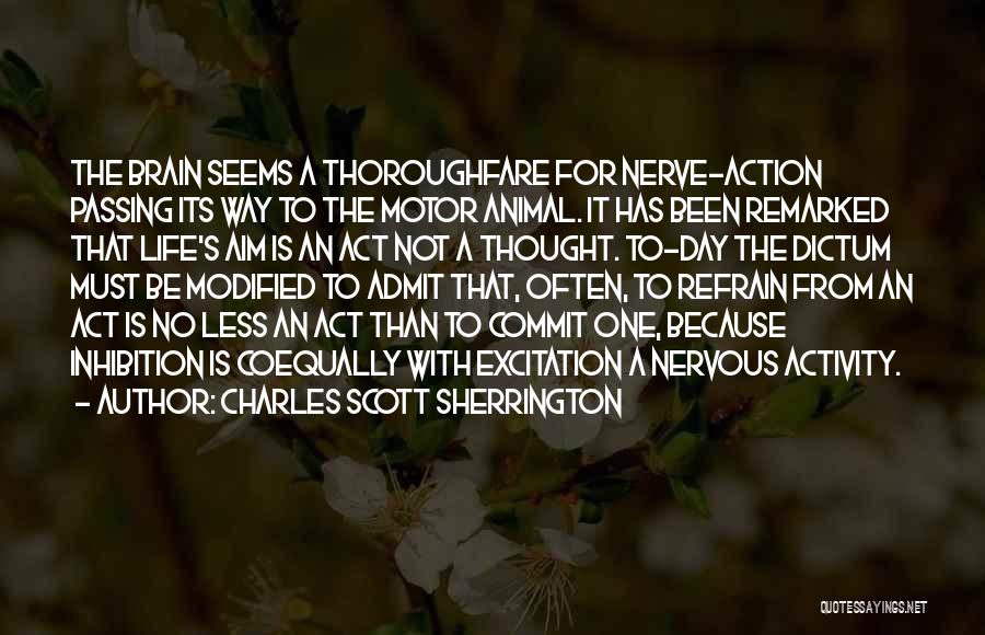 Charles Scott Sherrington Quotes: The Brain Seems A Thoroughfare For Nerve-action Passing Its Way To The Motor Animal. It Has Been Remarked That Life's