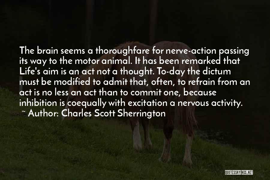 Charles Scott Sherrington Quotes: The Brain Seems A Thoroughfare For Nerve-action Passing Its Way To The Motor Animal. It Has Been Remarked That Life's