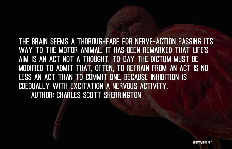 Charles Scott Sherrington Quotes: The Brain Seems A Thoroughfare For Nerve-action Passing Its Way To The Motor Animal. It Has Been Remarked That Life's