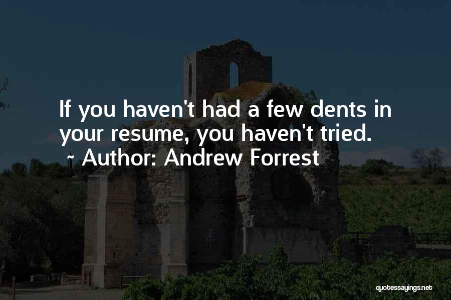 Andrew Forrest Quotes: If You Haven't Had A Few Dents In Your Resume, You Haven't Tried.