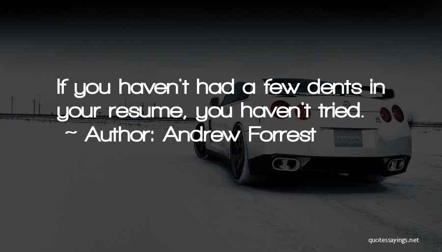 Andrew Forrest Quotes: If You Haven't Had A Few Dents In Your Resume, You Haven't Tried.