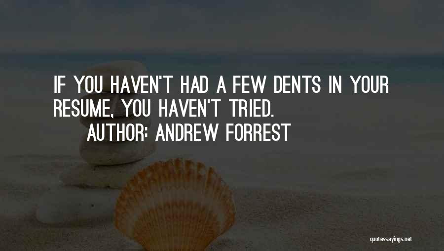 Andrew Forrest Quotes: If You Haven't Had A Few Dents In Your Resume, You Haven't Tried.