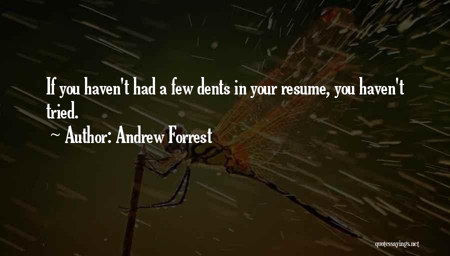 Andrew Forrest Quotes: If You Haven't Had A Few Dents In Your Resume, You Haven't Tried.