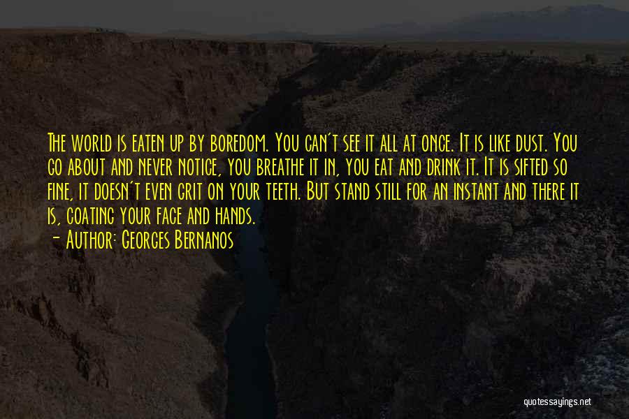 Georges Bernanos Quotes: The World Is Eaten Up By Boredom. You Can't See It All At Once. It Is Like Dust. You Go