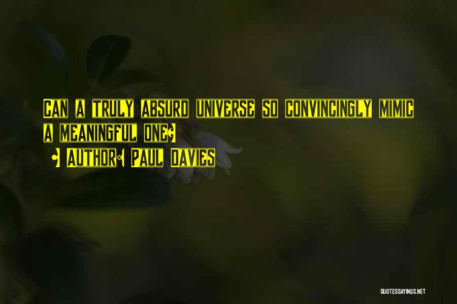 Paul Davies Quotes: Can A Truly Absurd Universe So Convincingly Mimic A Meaningful One?