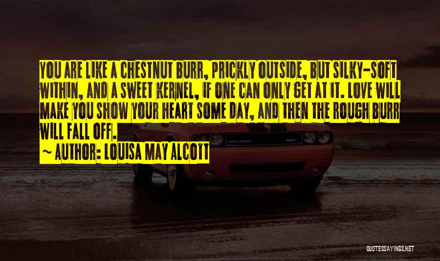 Louisa May Alcott Quotes: You Are Like A Chestnut Burr, Prickly Outside, But Silky-soft Within, And A Sweet Kernel, If One Can Only Get