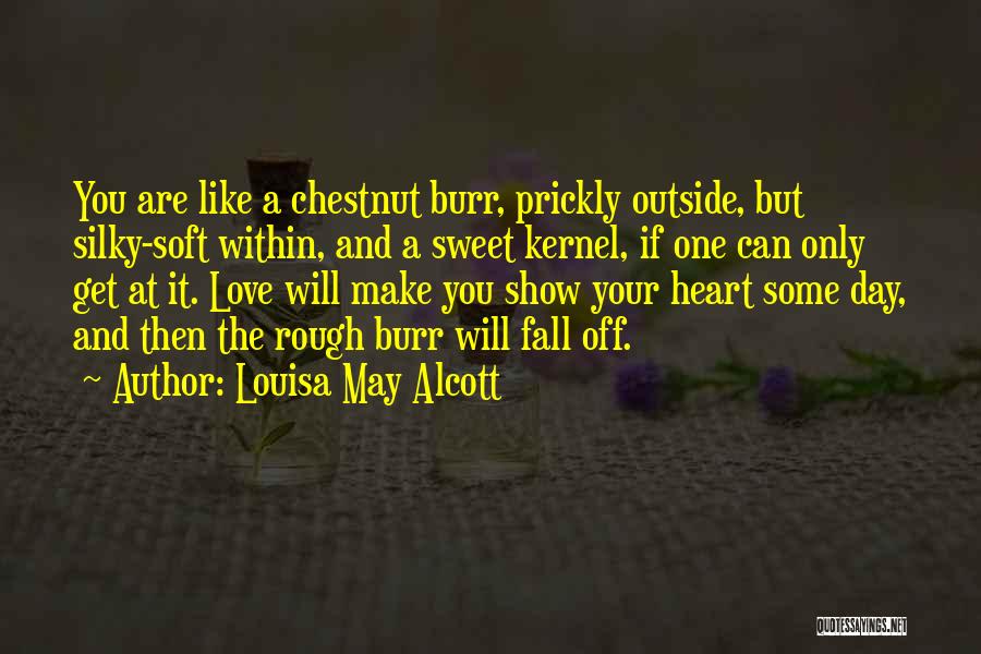 Louisa May Alcott Quotes: You Are Like A Chestnut Burr, Prickly Outside, But Silky-soft Within, And A Sweet Kernel, If One Can Only Get