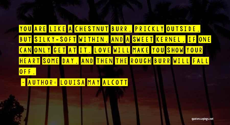 Louisa May Alcott Quotes: You Are Like A Chestnut Burr, Prickly Outside, But Silky-soft Within, And A Sweet Kernel, If One Can Only Get