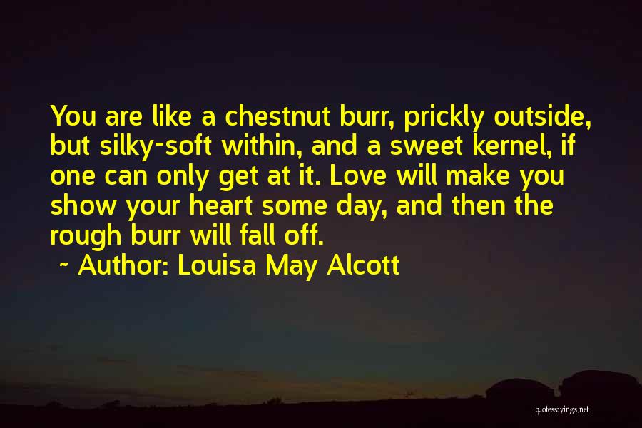 Louisa May Alcott Quotes: You Are Like A Chestnut Burr, Prickly Outside, But Silky-soft Within, And A Sweet Kernel, If One Can Only Get