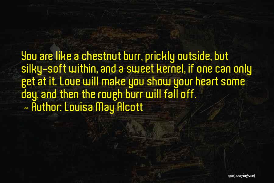 Louisa May Alcott Quotes: You Are Like A Chestnut Burr, Prickly Outside, But Silky-soft Within, And A Sweet Kernel, If One Can Only Get