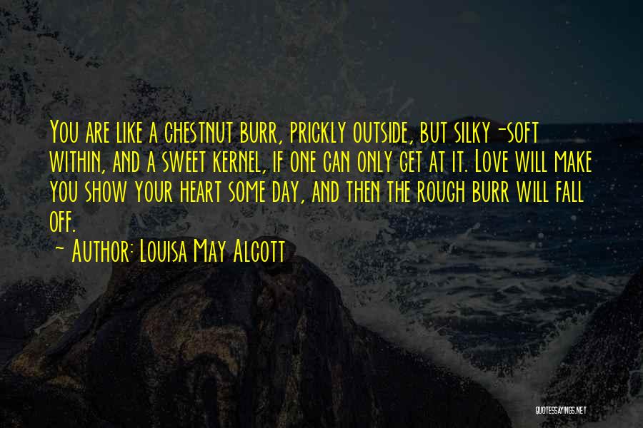 Louisa May Alcott Quotes: You Are Like A Chestnut Burr, Prickly Outside, But Silky-soft Within, And A Sweet Kernel, If One Can Only Get