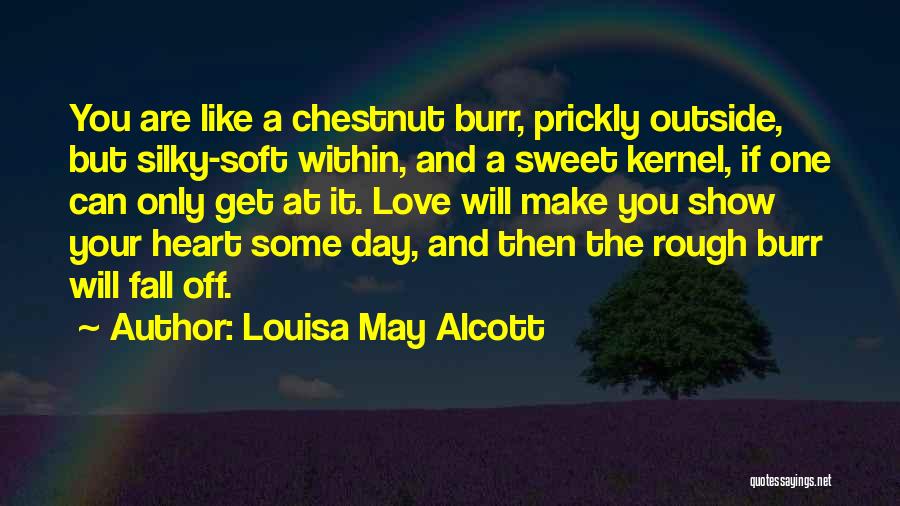 Louisa May Alcott Quotes: You Are Like A Chestnut Burr, Prickly Outside, But Silky-soft Within, And A Sweet Kernel, If One Can Only Get