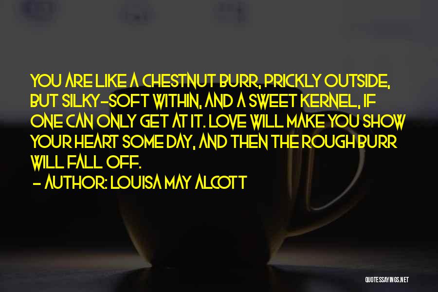 Louisa May Alcott Quotes: You Are Like A Chestnut Burr, Prickly Outside, But Silky-soft Within, And A Sweet Kernel, If One Can Only Get