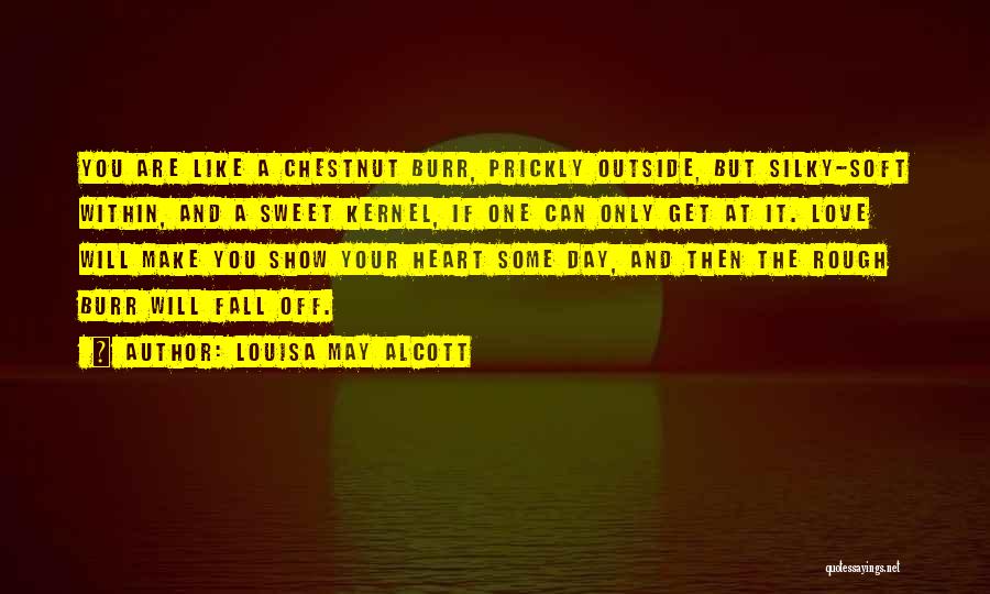 Louisa May Alcott Quotes: You Are Like A Chestnut Burr, Prickly Outside, But Silky-soft Within, And A Sweet Kernel, If One Can Only Get