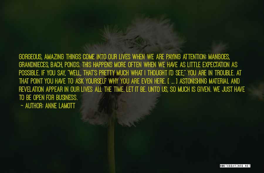 Anne Lamott Quotes: Gorgeous, Amazing Things Come Into Our Lives When We Are Paying Attention: Mangoes, Grandnieces, Bach, Ponds. This Happens More Often