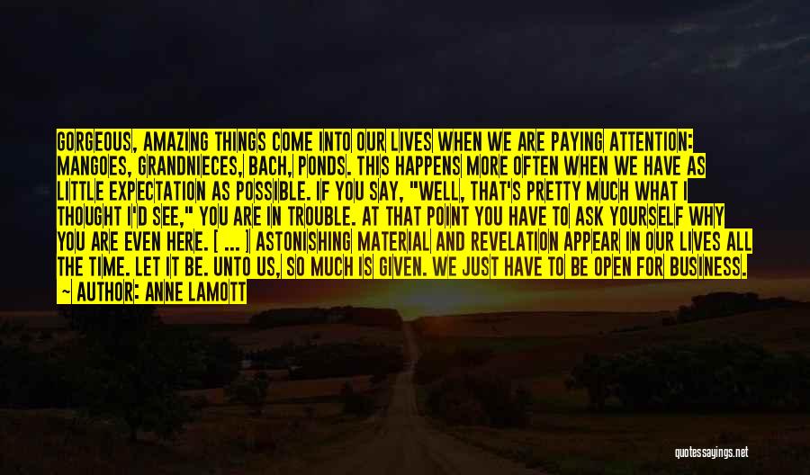 Anne Lamott Quotes: Gorgeous, Amazing Things Come Into Our Lives When We Are Paying Attention: Mangoes, Grandnieces, Bach, Ponds. This Happens More Often